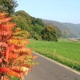 0510G 24 BKarlshafen-Hameln